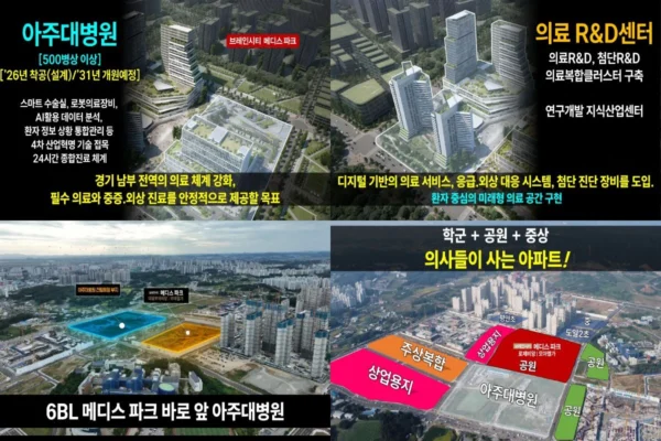 브레인시티 메디스파크 대광로제비앙 모아엘가 입지안내 02